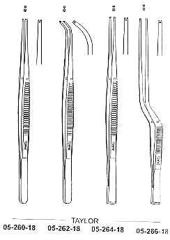 Taylor Tissue Forcep